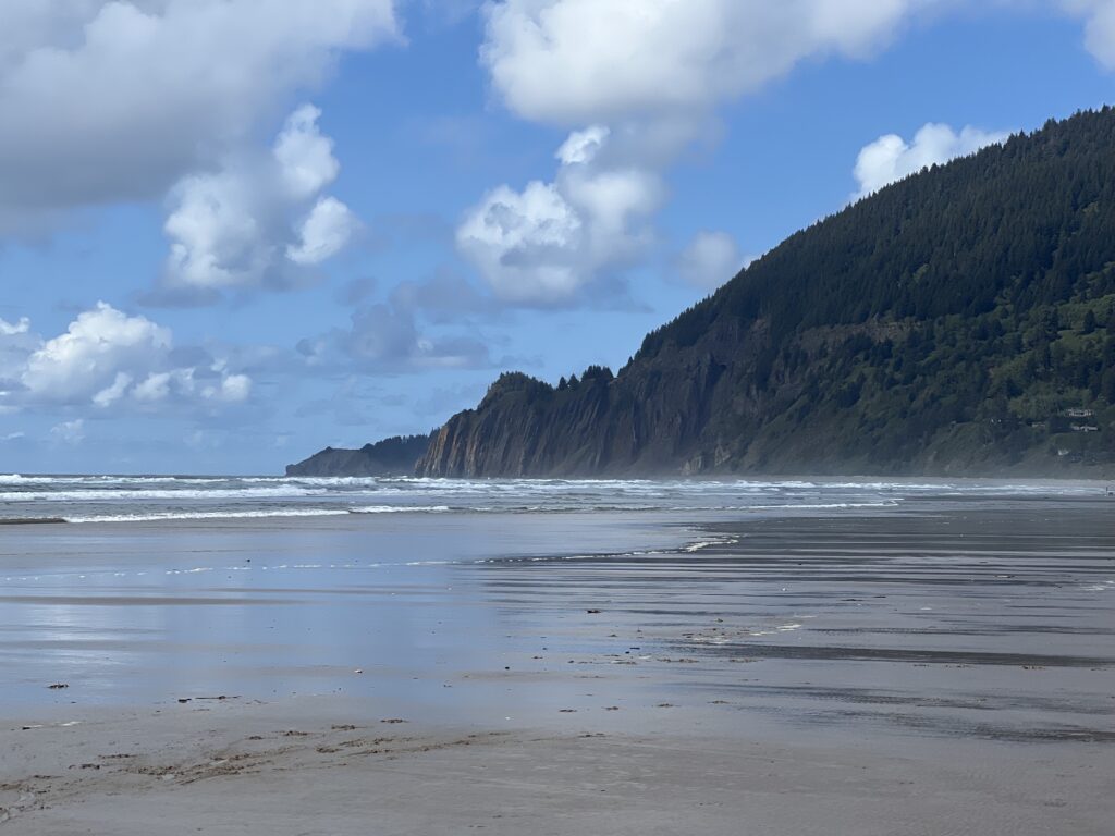 Manzanita Oregon beach hillside