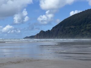 Manzanita Oregon beach hillside