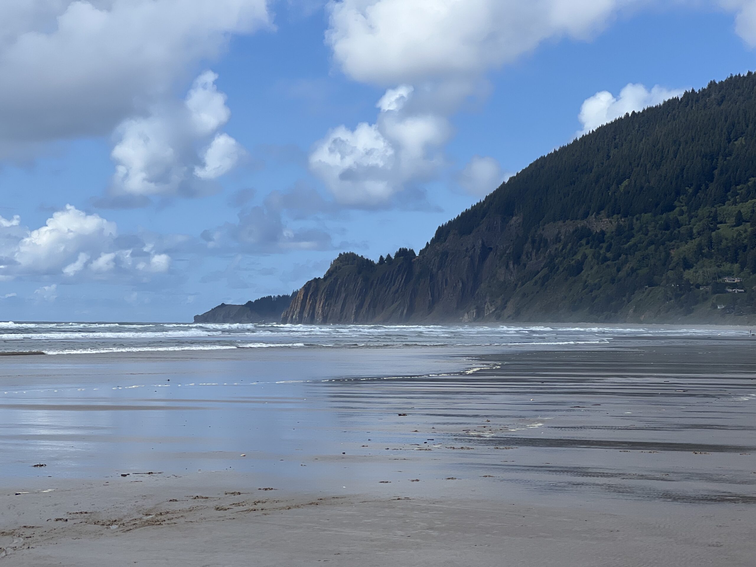 Manzanita Oregon beach hillside