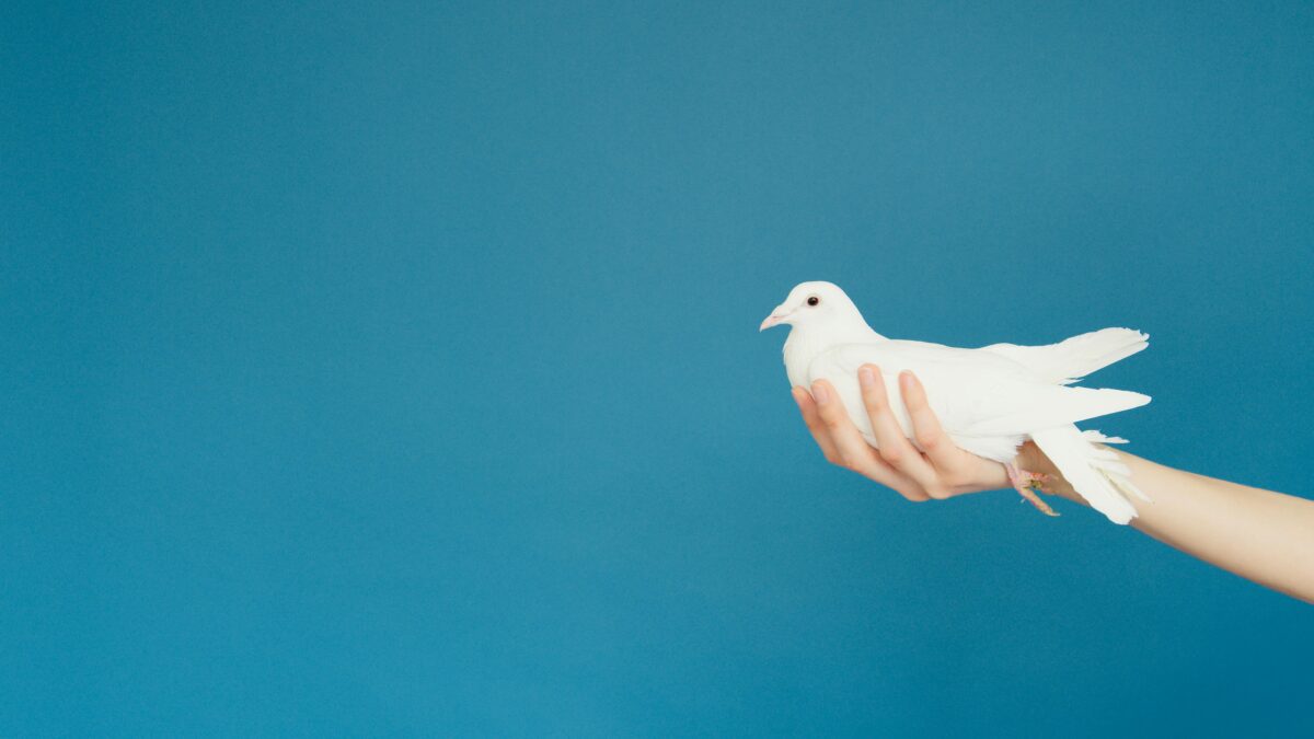 the art of self-acceptance