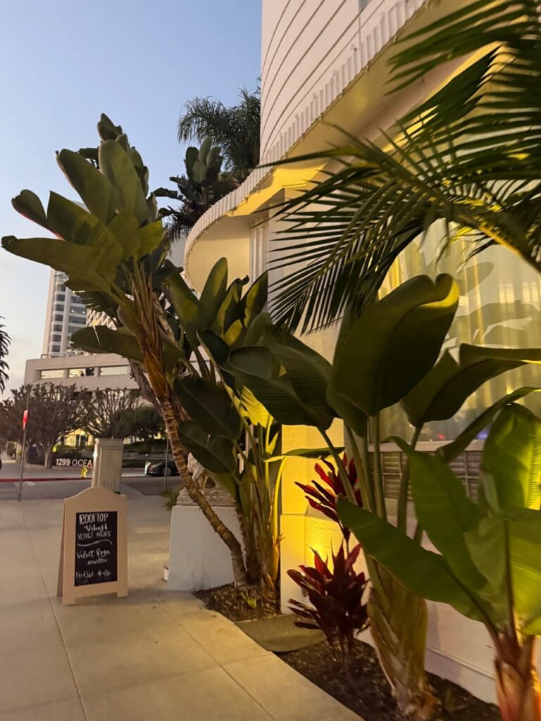 The Eden Hotel Santa Monica Los angeles california pet friendly dog friendly