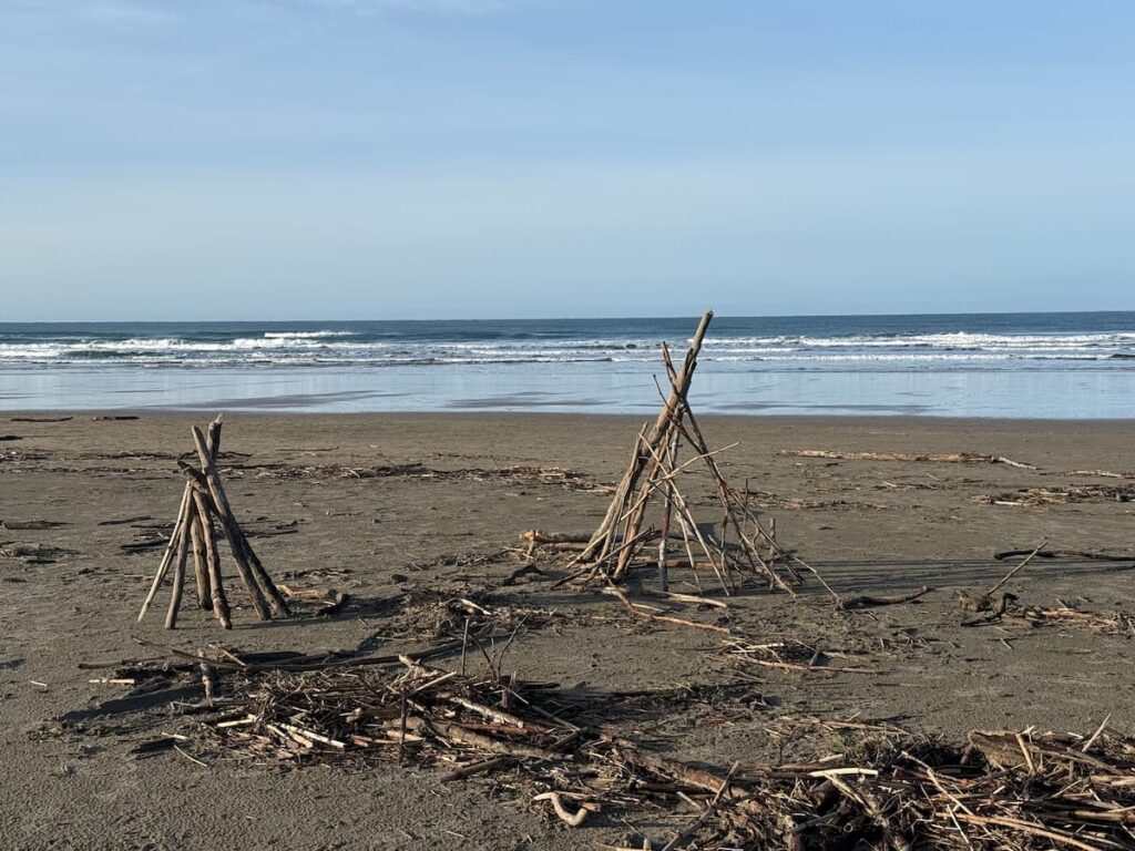 pet-friendly dog-friendly manzanita beach oregon north coast hallie hideaway