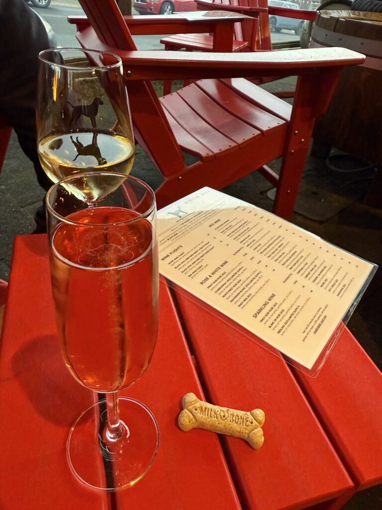 pet-friendly restaurants manzanita manzanita pet-friendly hotels