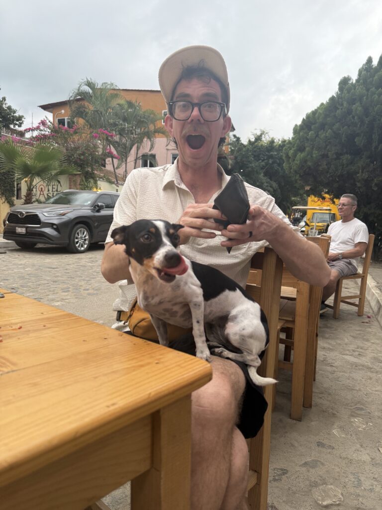 san pancho dog-friendly pal.mar hotel review