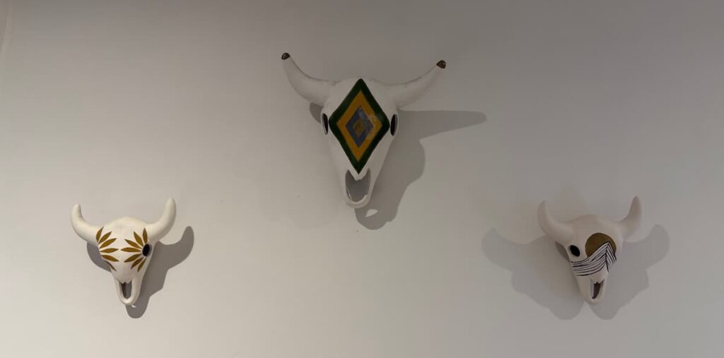 pal gallo skulls on bathroom wall pal.mar hotel san pancho