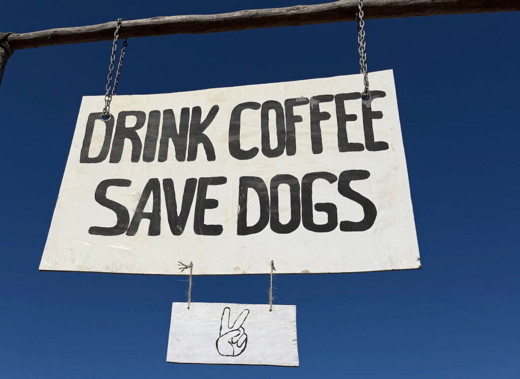 drink coffee save dogs sign at cerritos beach dogs dog rescue cafe el pescadero