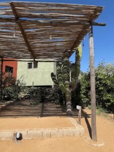 stage at don nacho restaurant los cerritos baja sur mexico