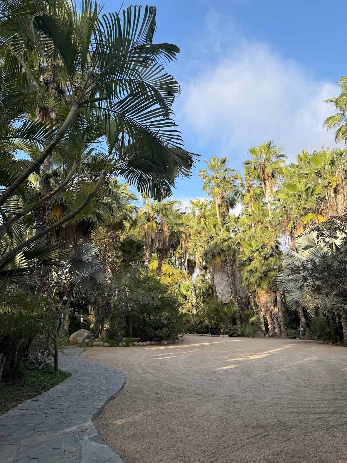 hacienda todos los santos driveway
