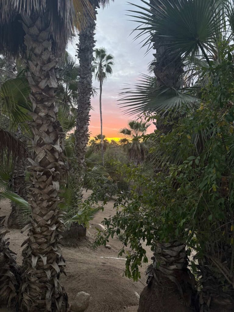 Suite San Juan Diego sunset