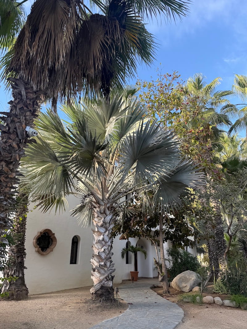 exterior hacienda todos los santos baja sur mexico