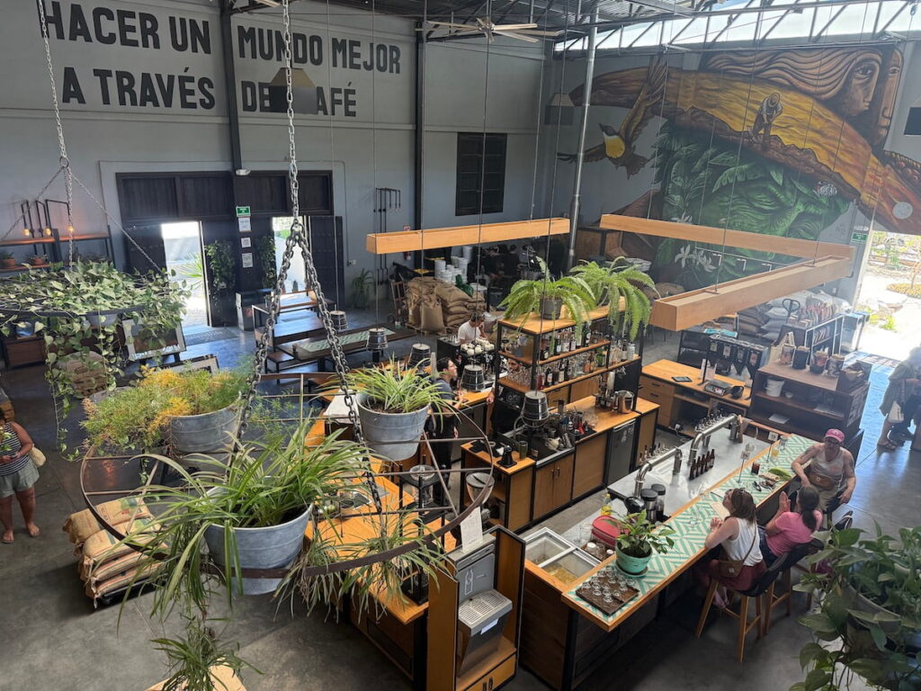 birdseye interior Docecuarenta coffee shop in Todos Santos Baja Sur