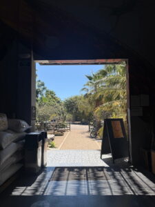 doorway at Docecuarenta coffee shop in Todos Santos Baja Sur