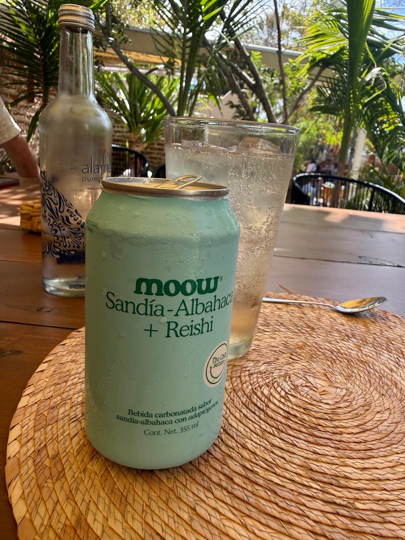 Moow selzer Jazamango cafe todos santos baja sur