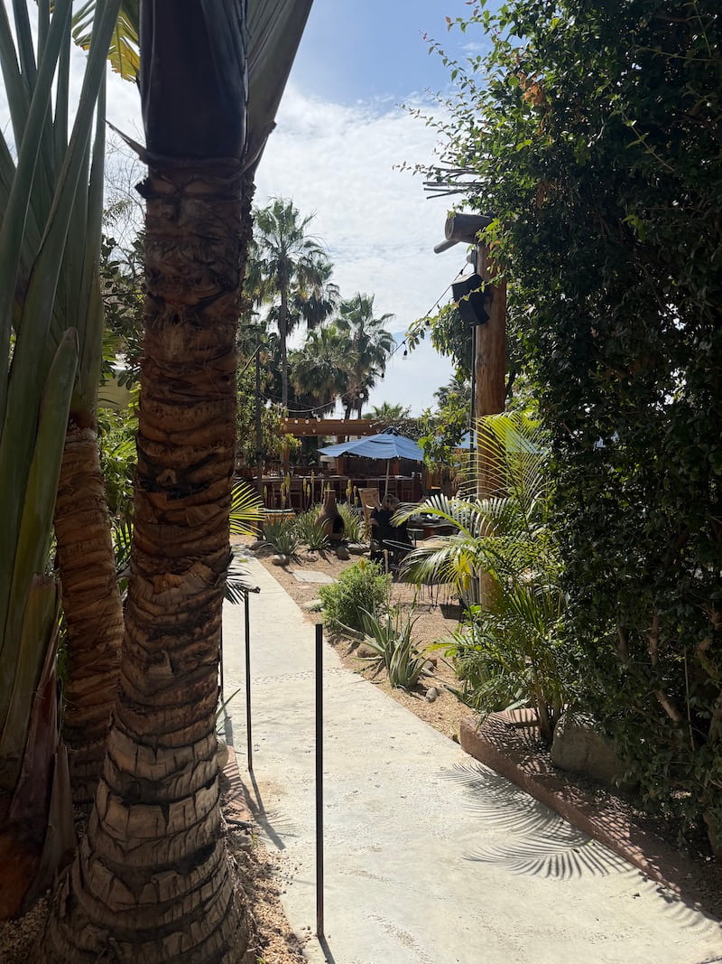 patio from walkway Jazamango cafe todos santos baja sur