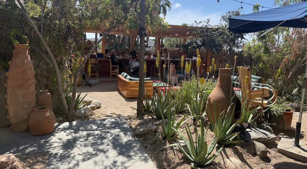 patio Jazamango cafe todos santos baja sur