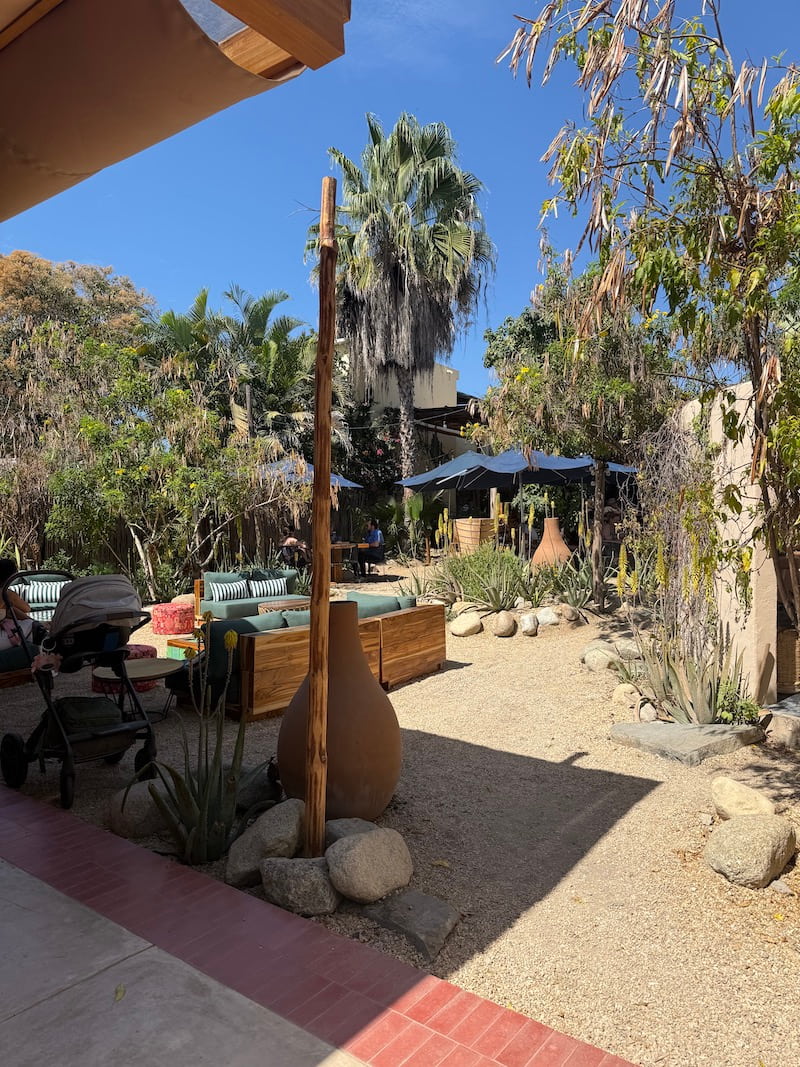 patio Jazamango cafe todos santos baja sur